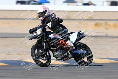 media/Jan-08-2022-SoCal Trackdays (Sat) [[1ec2777125]]/Turn 14 Outside (1050am)/